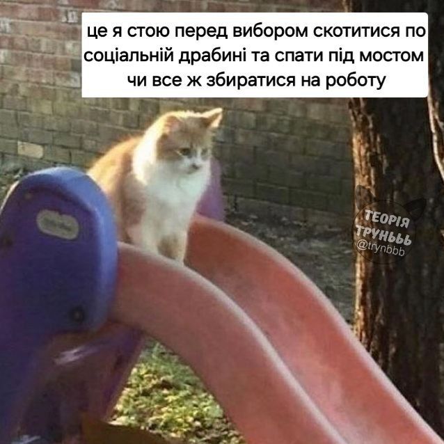 Мемы с котами, которые поднимут тебе настроение - фото 664015