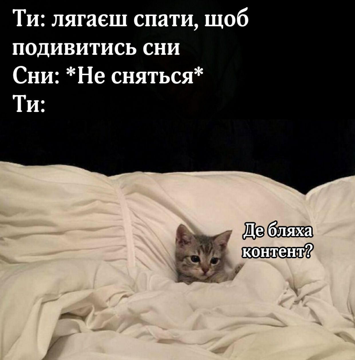 Мемы с котами, которые поднимут тебе настроение - фото 664024