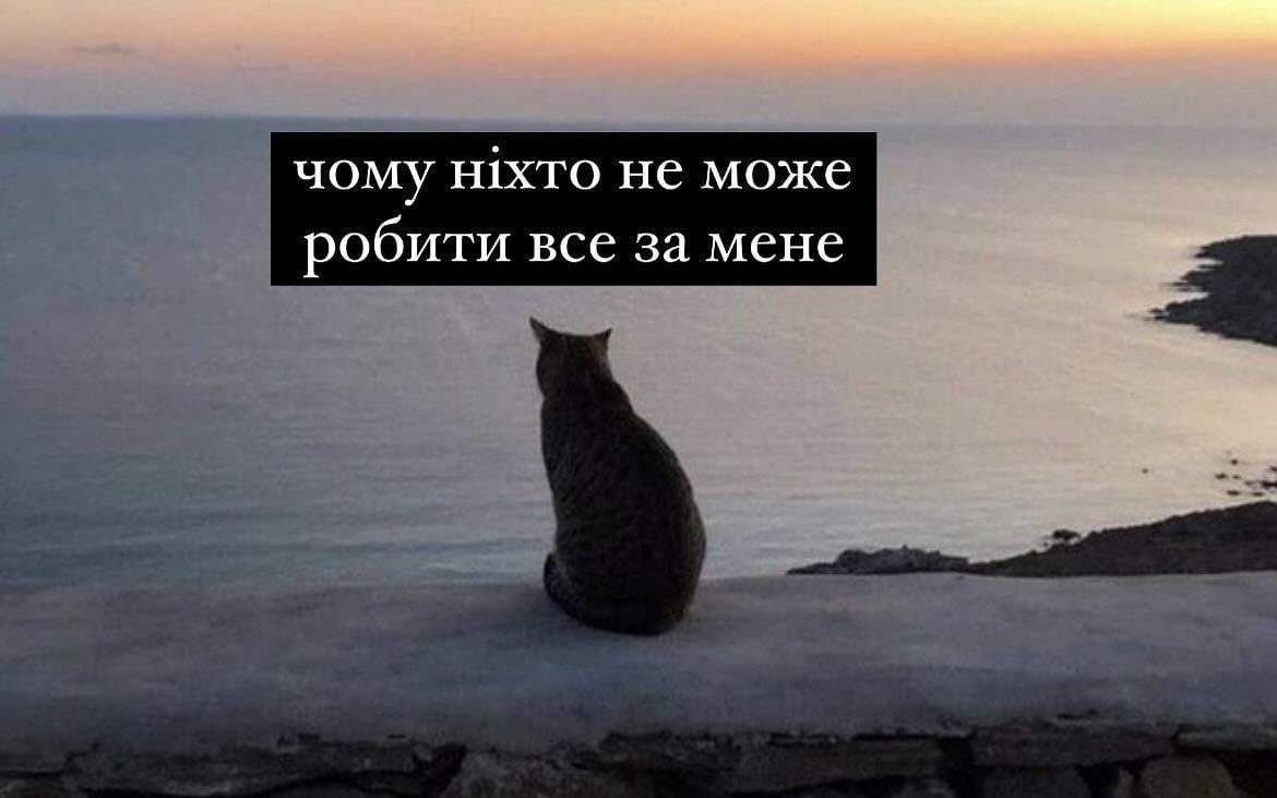 Мемы с котами, которые поднимут тебе настроение - фото 664025