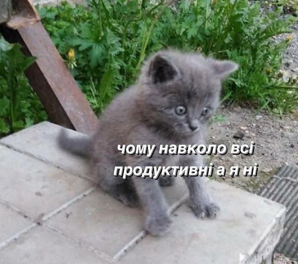 Мемы с котами, которые поднимут тебе настроение - фото 664027