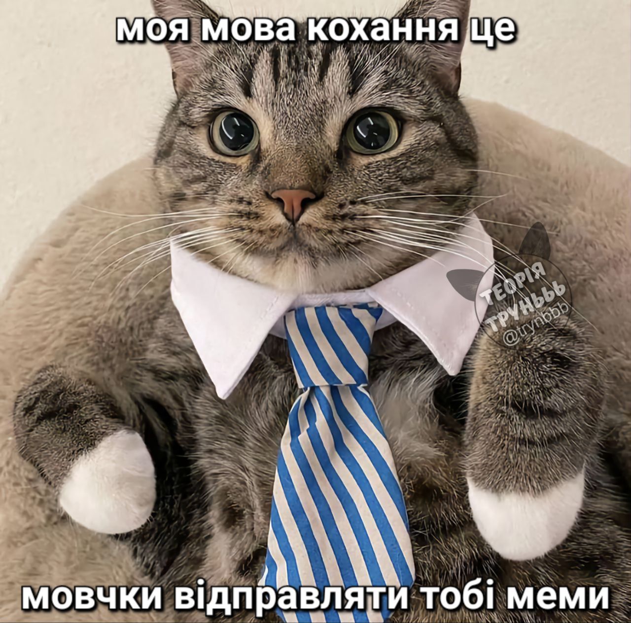 Мемы с котами, которые поднимут тебе настроение - фото 664034