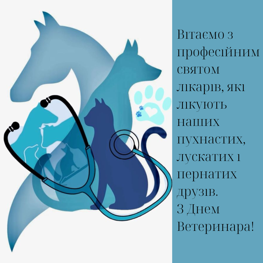 День ветеринара: лучшие поздравления и открытки для тех, кто любит животных больше всего - 665025 День ветеринара: лучшие поздравления и открытки для тех, кто любит животных больше всего - фото 665025