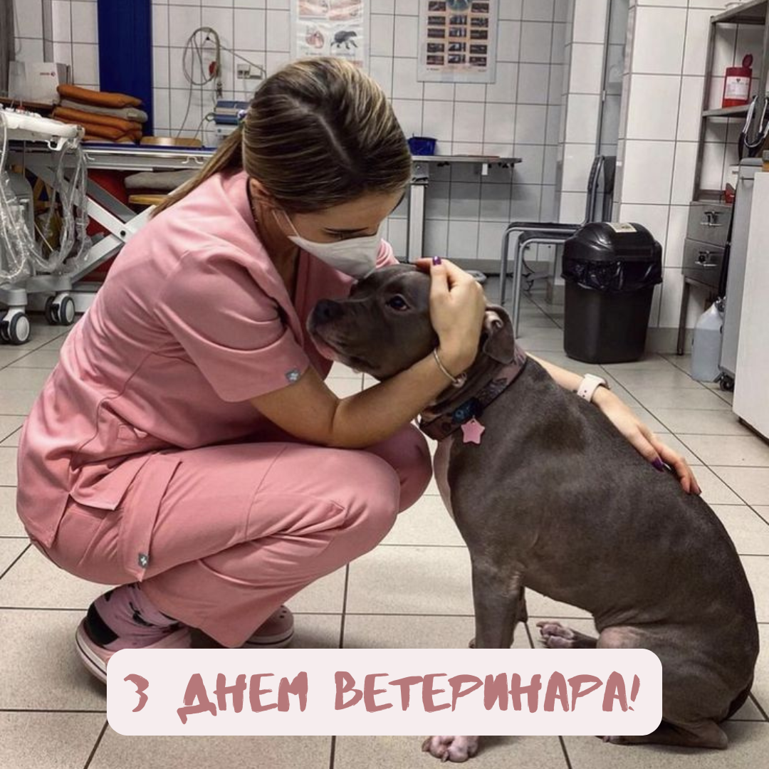 День ветеринара: лучшие поздравления и открытки для тех, кто любит животных больше всего - 665027 День ветеринара: лучшие поздравления и открытки для тех, кто любит животных больше всего - фото 665027