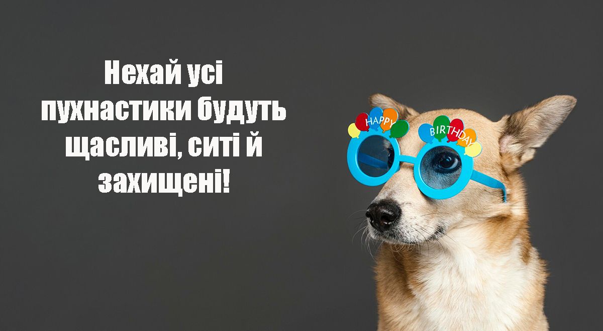 Мимишные поздравления с Днем прав животных 2024 - очень прикольные картинки и особая проза - 665361 Мимишные поздравления с Днем прав животных 2024 - очень прикольные картинки и особая проза - фото 665361