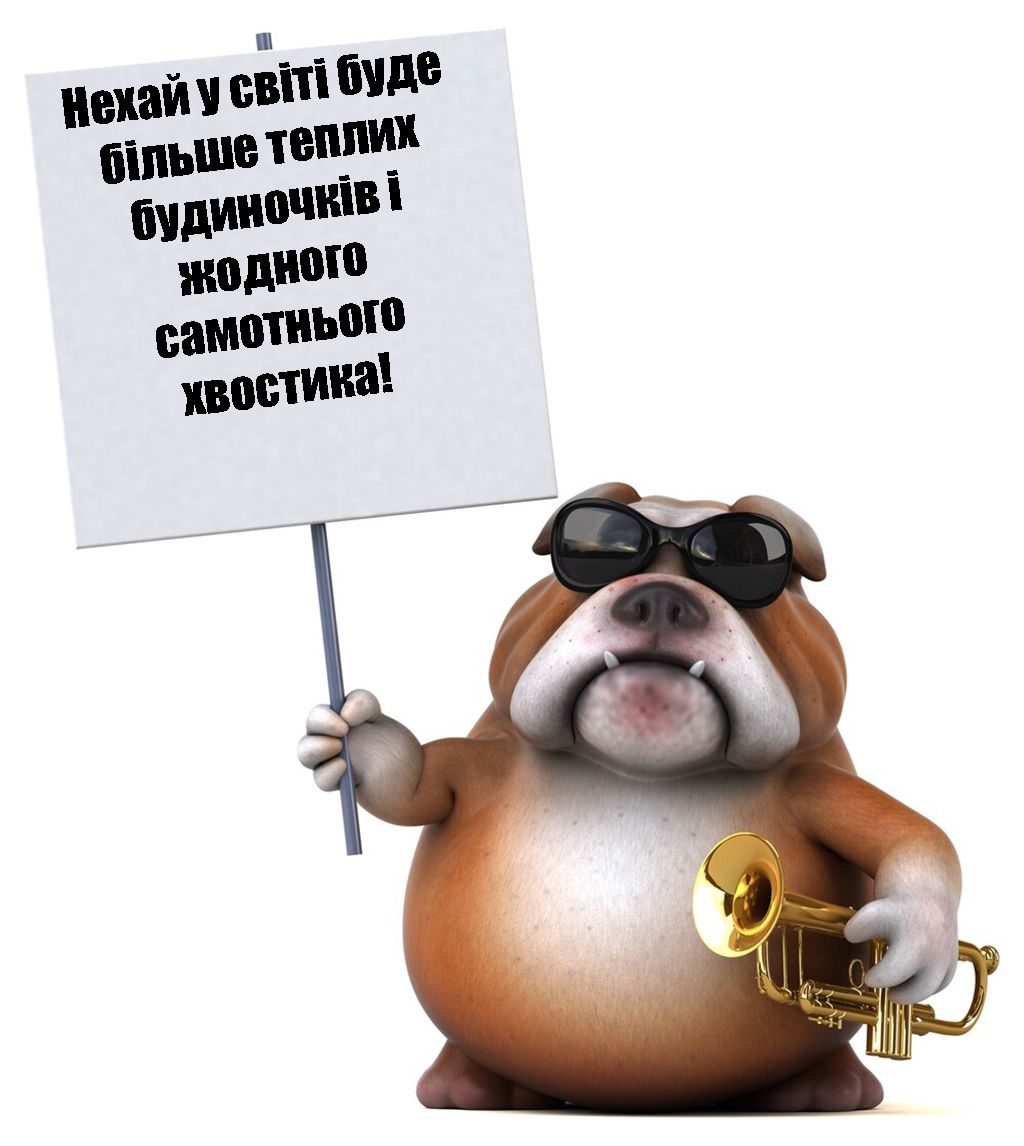 Мимишные поздравления с Днем прав животных 2024 - очень прикольные картинки и особая проза - 665366 Мимишные поздравления с Днем прав животных 2024 - очень прикольные картинки и особая проза - фото 665366