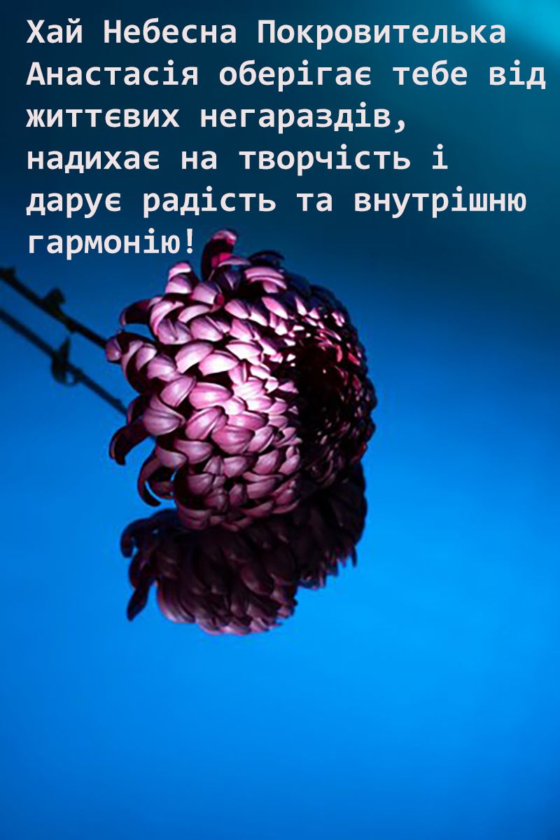 Особые поздравления с Днем ангела Анастасии 2024 - яркие картинки и милые стихи, которые заставят улыбнуться - фото 666734