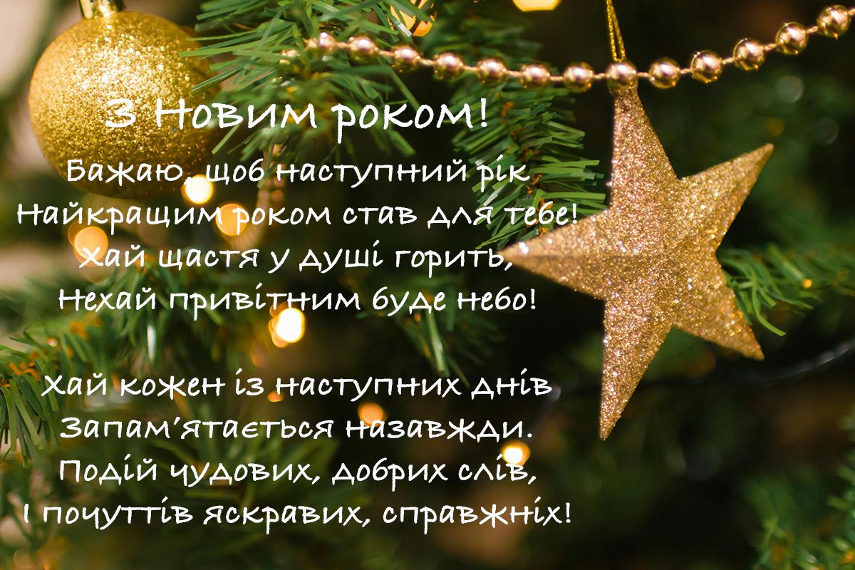 С Новым годом 2025: большая подборка поздравлений для классного старта - фото 667093