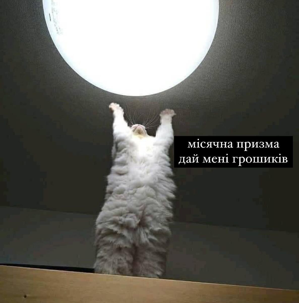 Мемы про деньги, которых так не хватает в период праздников - фото 668516