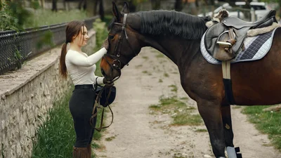 Год драйва и безграничного потенциала: гороскоп для Лошади на 2025 год