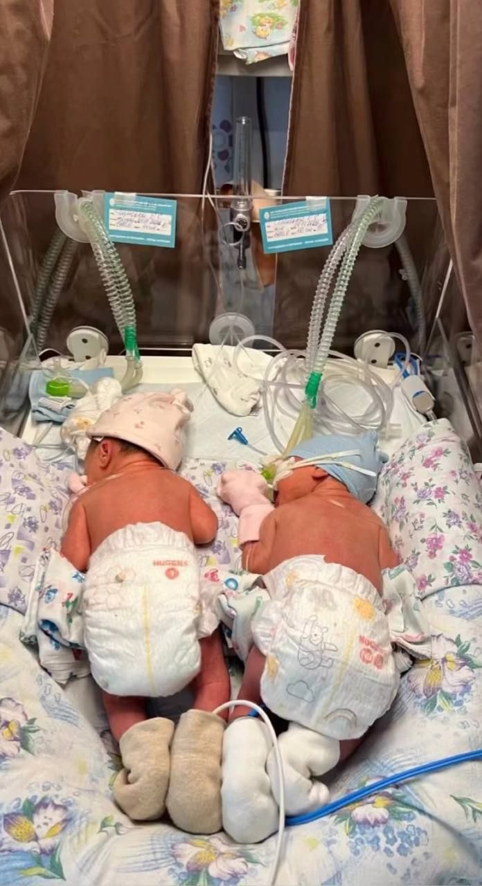 Ліза Глінська народила двійню - трепетне фото й відео малюків - 668759 Ліза Глінська народила двійню - трепетне фото й відео малюків - фото 668759