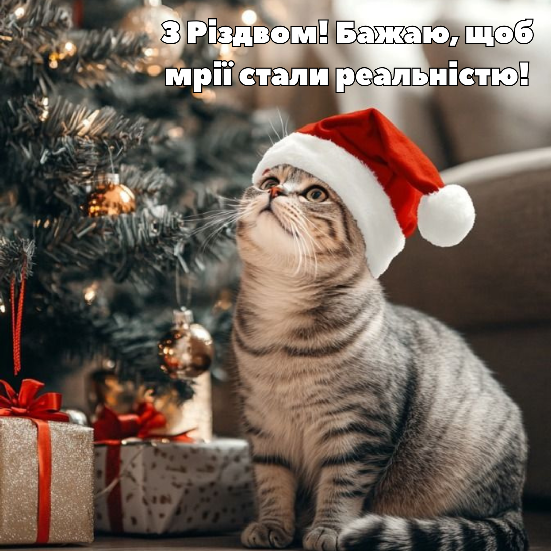 Привітання з Різдвом для друзів - фото 669576