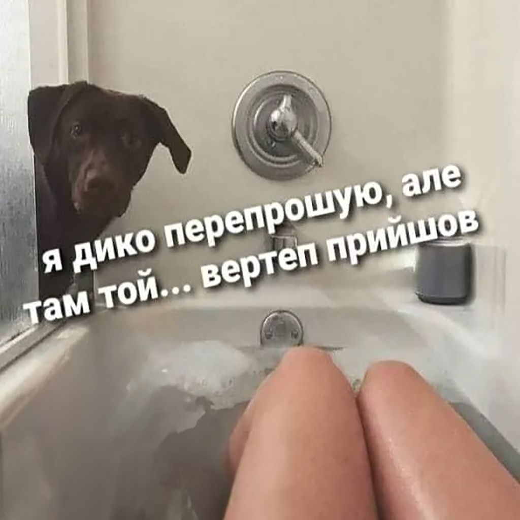 Меми про різдвяні свята, які підірвали мережу - фото 669804