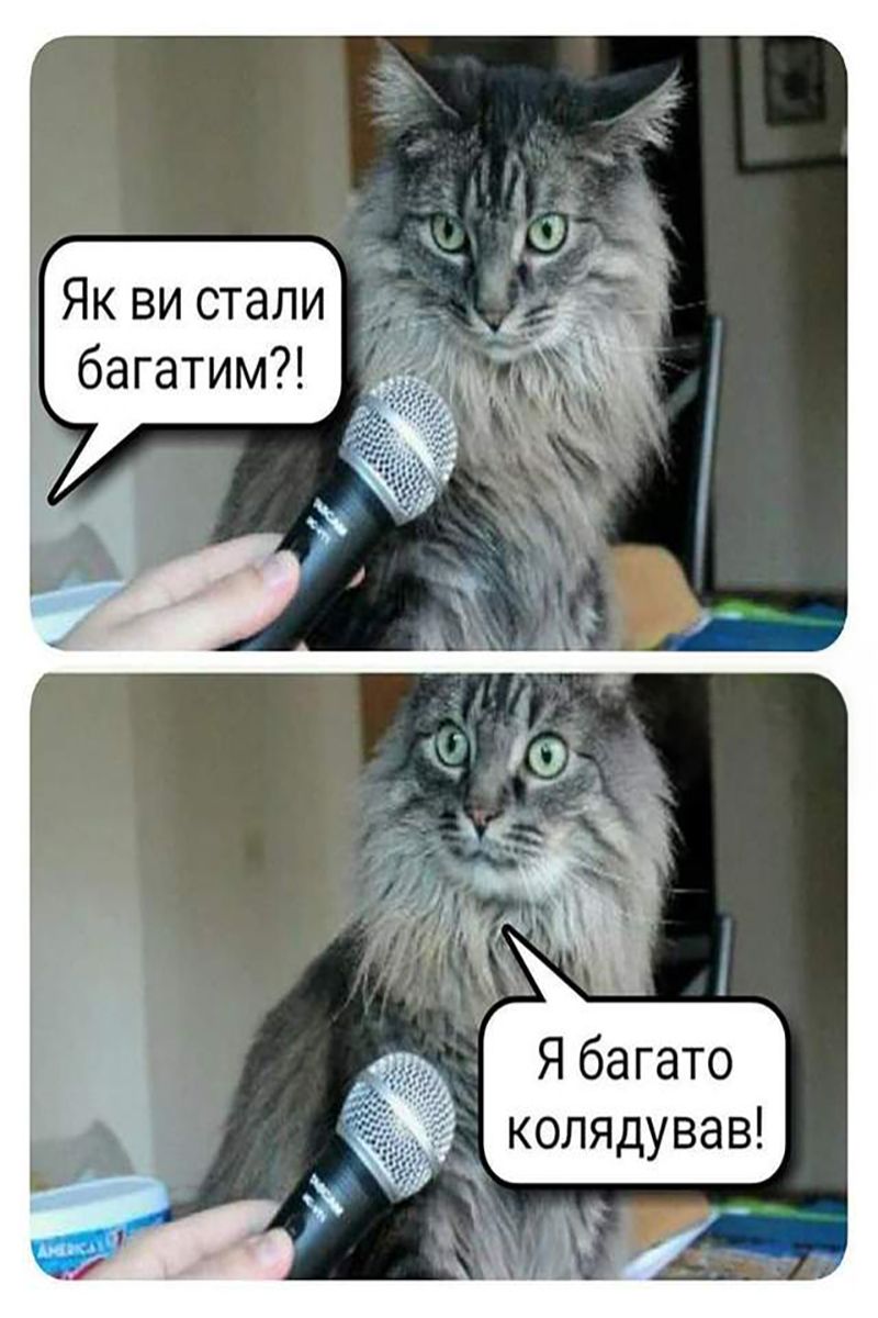 Меми про різдвяні свята, які підірвали мережу - фото 669806