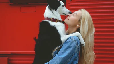 Время риска и больших перемен: что ждет Собак в 2025 году