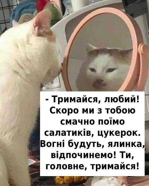 Мемы о Рождестве, в которых украинцы создают себе праздничное настроение - фото 670423
