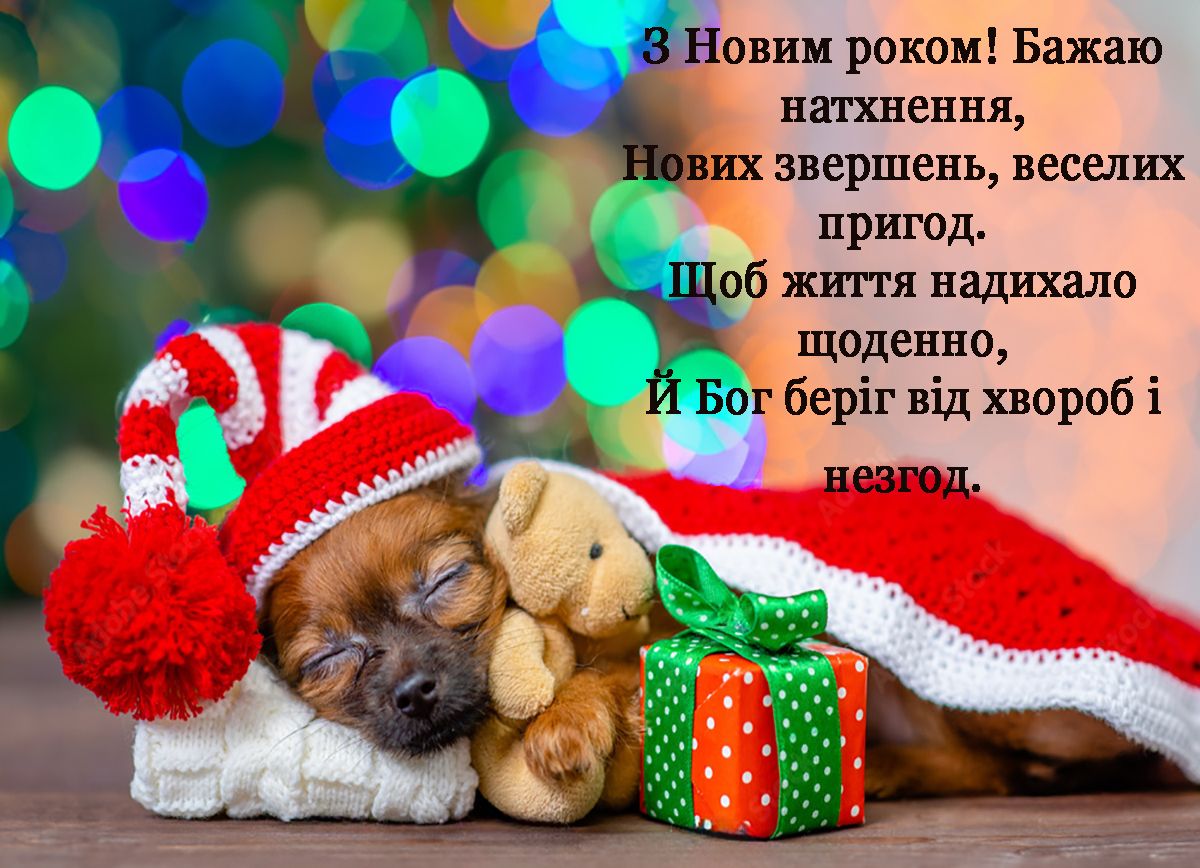 Топ открыток для поздравления с Новым годом 2025, которые идеально подойдут к празднику - фото 670998