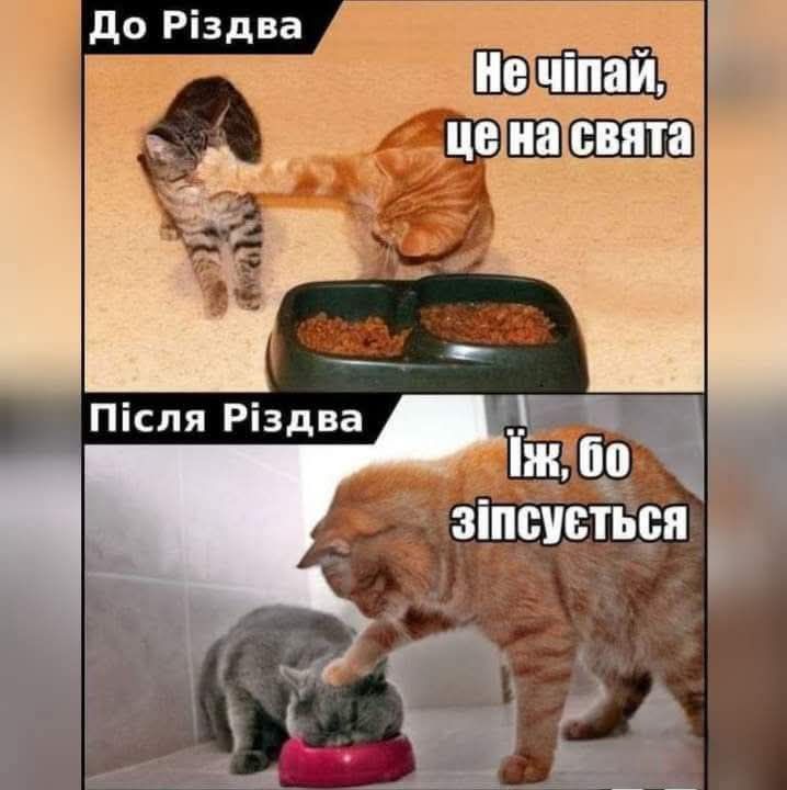 Тримай ще одну смішну добірку мемів про Різдво в Україні - 671052 Тримай ще одну смішну добірку мемів про Різдво в Україні - фото 671052