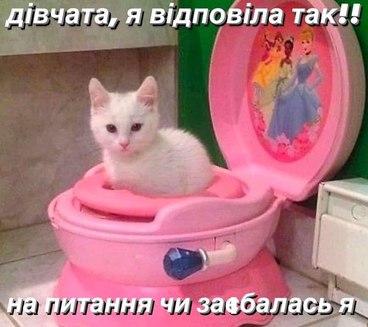 Меми про кінець 2024 року, який вже хочеться дожити якомога скоріше - 671556 Меми про кінець 2024 року, який вже хочеться дожити якомога скоріше - фото 671556