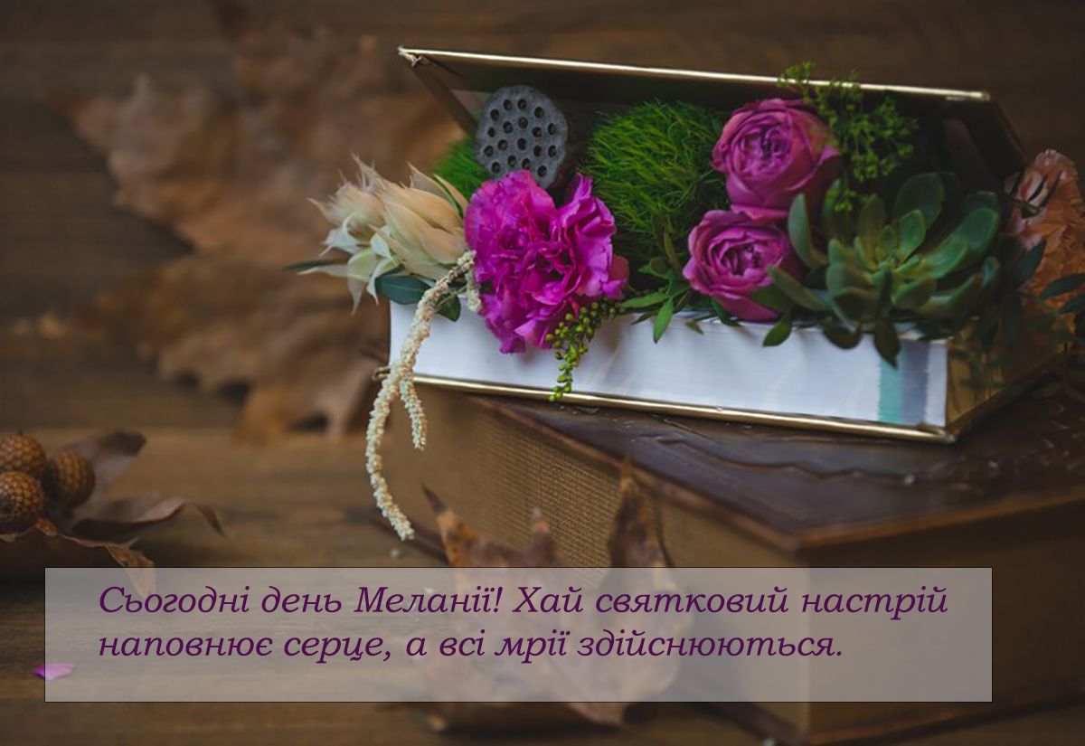 Меланка привітання з Маланкою картинки - 671624 Меланка привітання з Маланкою картинки - фото 671624