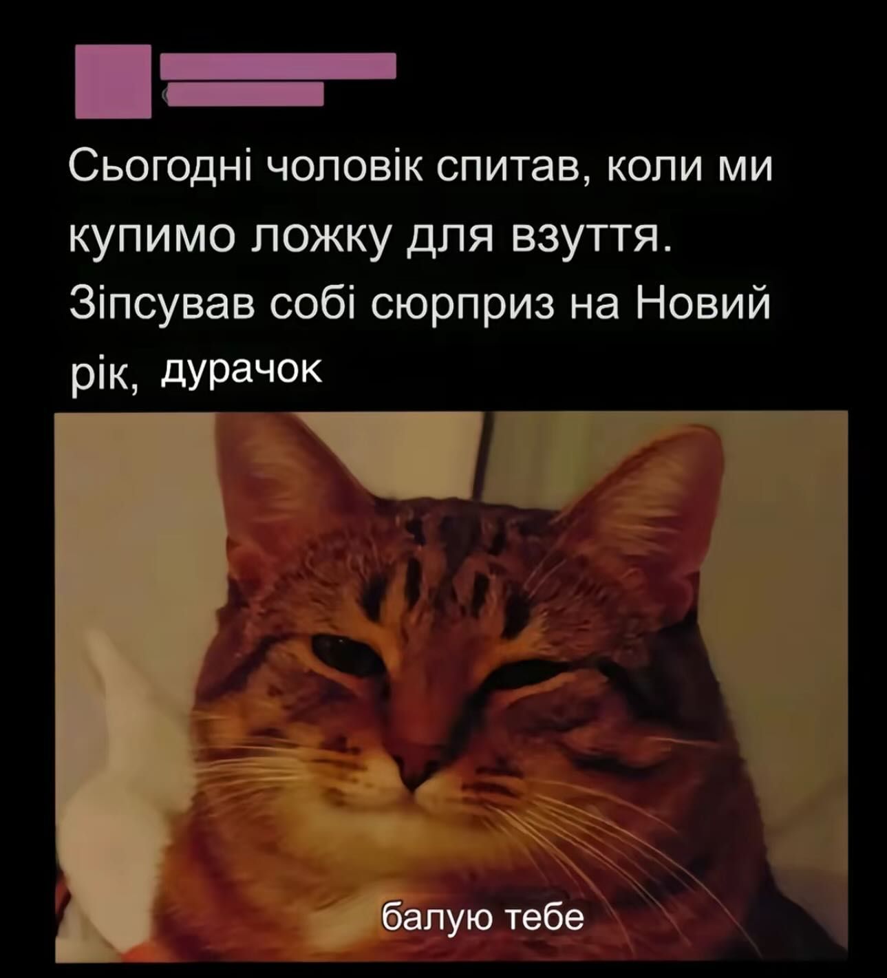 Жарти про Новий рік знайдеш у цій добірці з мемами - 672422 Жарти про Новий рік знайдеш у цій добірці з мемами - фото 672422