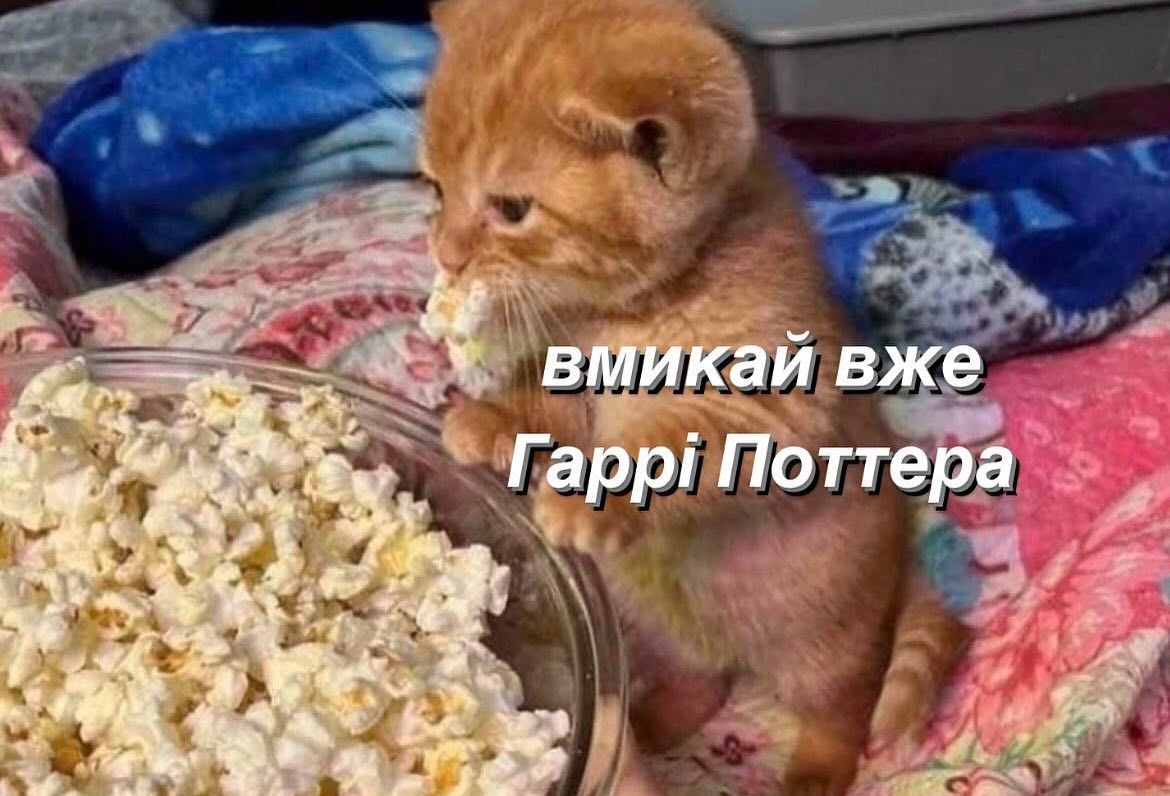 Жарти про Новий рік знайдеш у цій добірці з мемами - 672426 Жарти про Новий рік знайдеш у цій добірці з мемами - фото 672426