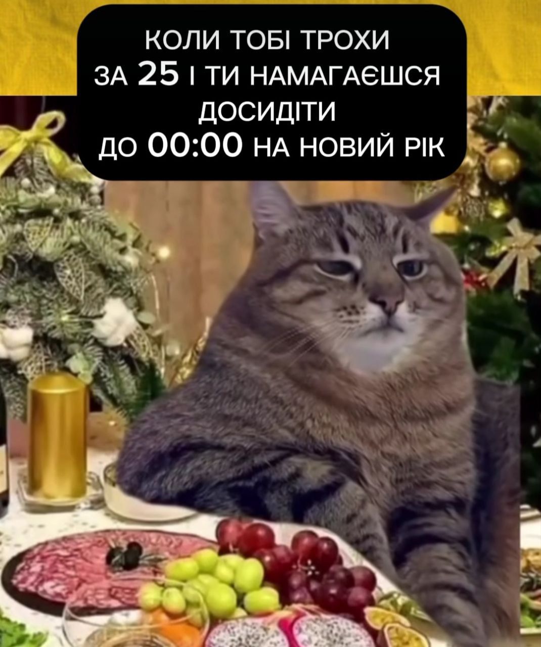 Жарти про Новий рік знайдеш у цій добірці з мемами - 672429 Жарти про Новий рік знайдеш у цій добірці з мемами - фото 672429