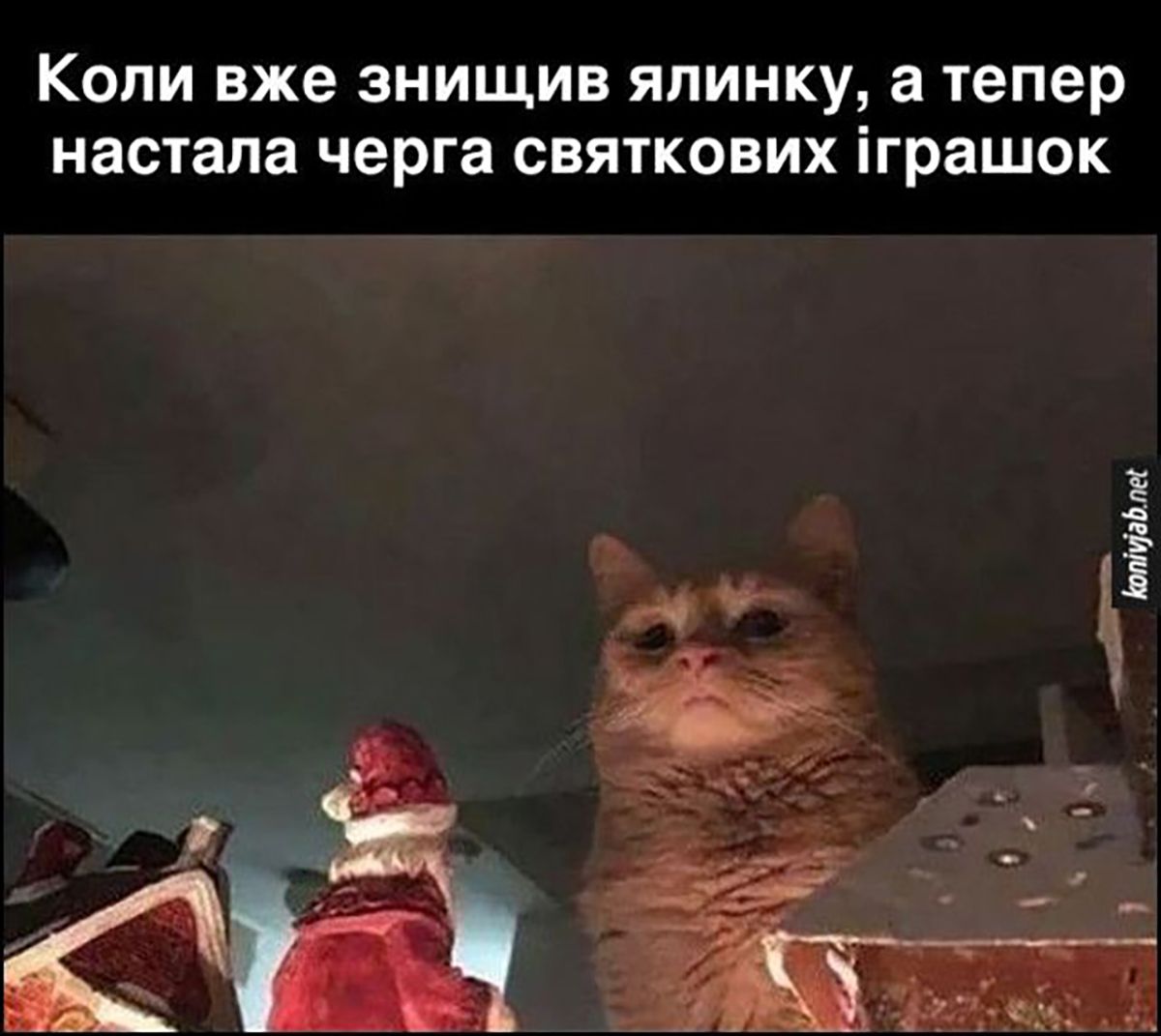 Мемы про котов, которые сделают Новый год 2025 незабываемым - 672809 Мемы про котов, которые сделают Новый год 2025 незабываемым - фото 672809