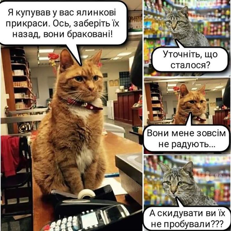 Мемы про котов, которые сделают Новый год 2025 незабываемым - 672811 Мемы про котов, которые сделают Новый год 2025 незабываемым - фото 672811