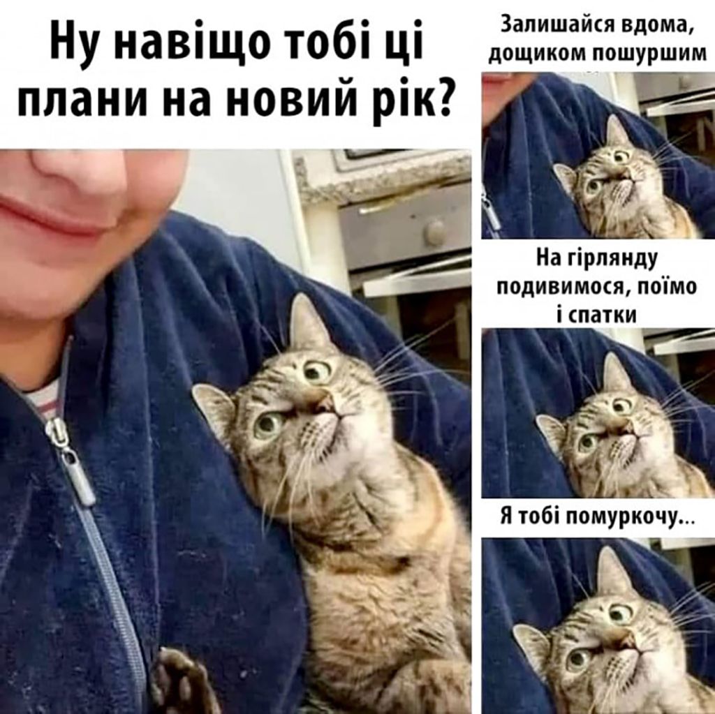 Мемы про котов, которые сделают Новый год 2025 незабываемым - 672813 Мемы про котов, которые сделают Новый год 2025 незабываемым - фото 672813
