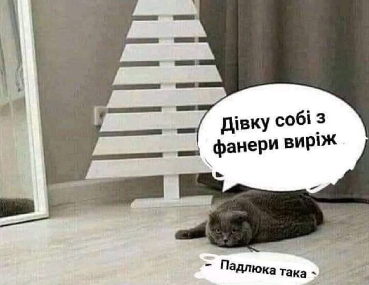 Мемы про котов, которые сделают Новый год 2025 незабываемым - 672818 Мемы про котов, которые сделают Новый год 2025 незабываемым - фото 672818