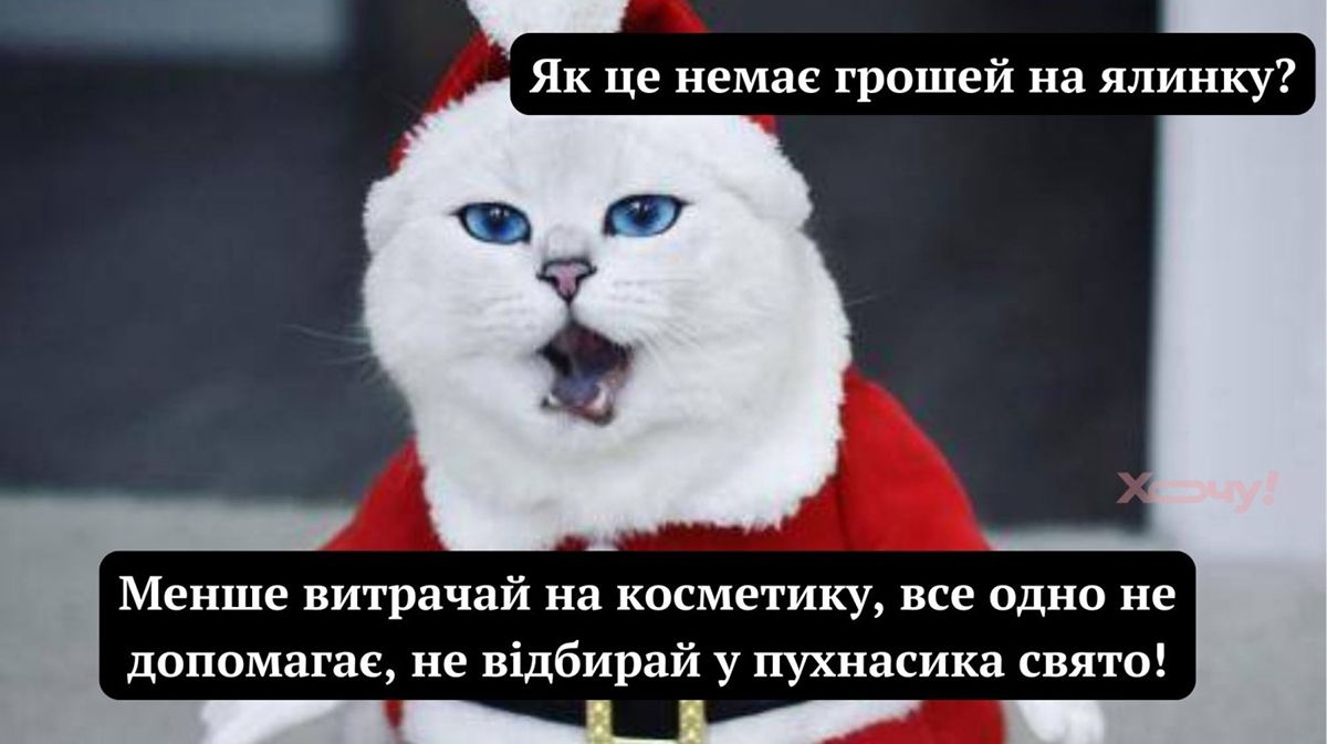 Мемы про котов, которые сделают Новый год 2025 незабываемым - 672820 Мемы про котов, которые сделают Новый год 2025 незабываемым - фото 672820