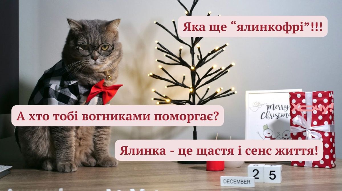 Мемы про котов, которые сделают Новый год 2025 незабываемым - 672824 Мемы про котов, которые сделают Новый год 2025 незабываемым - фото 672824