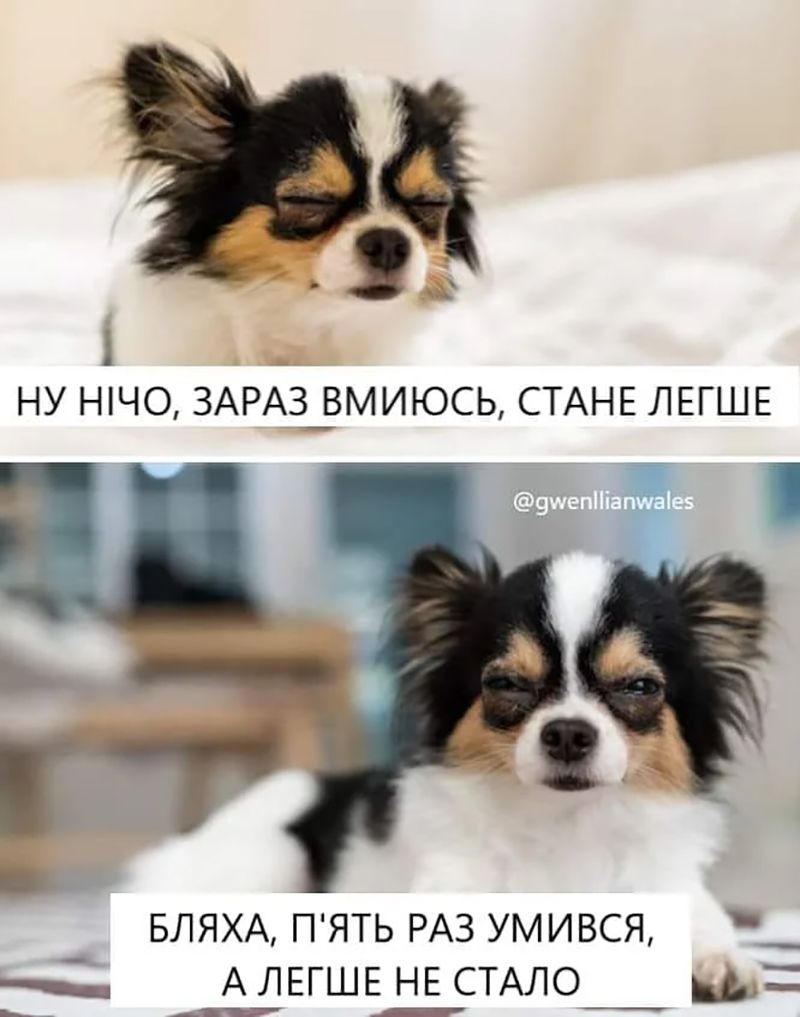 50 оттенков похмелья в мемах - 673087 50 оттенков похмелья в мемах - фото 673087