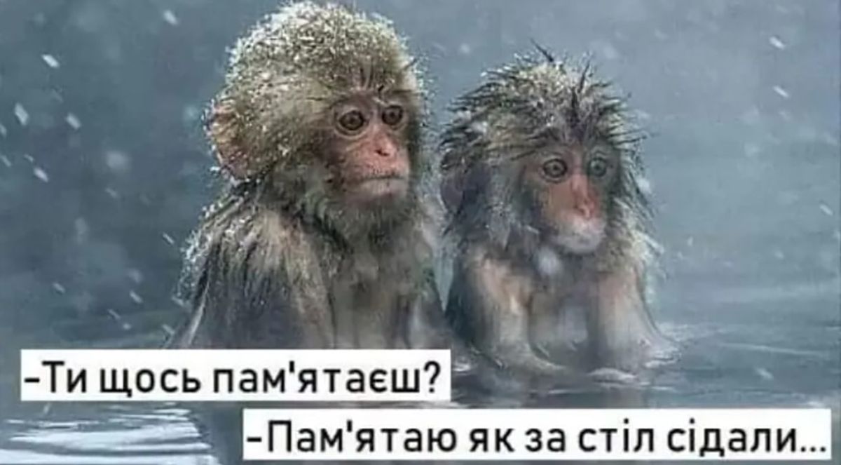 50 оттенков похмелья в мемах - 673088 50 оттенков похмелья в мемах - фото 673088