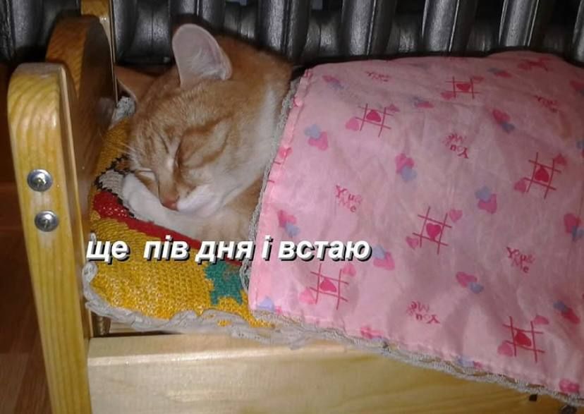 Мемы о начале 2025 года, на который мы возлагаем много надежд - фото 673316