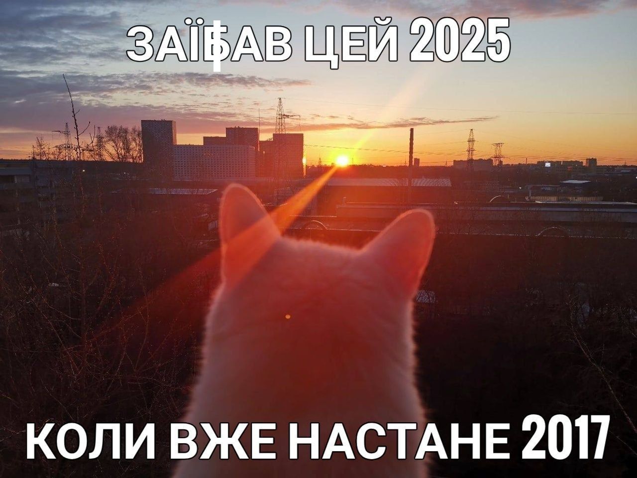 Мемы о начале 2025 года, на который мы возлагаем много надежд - фото 673318