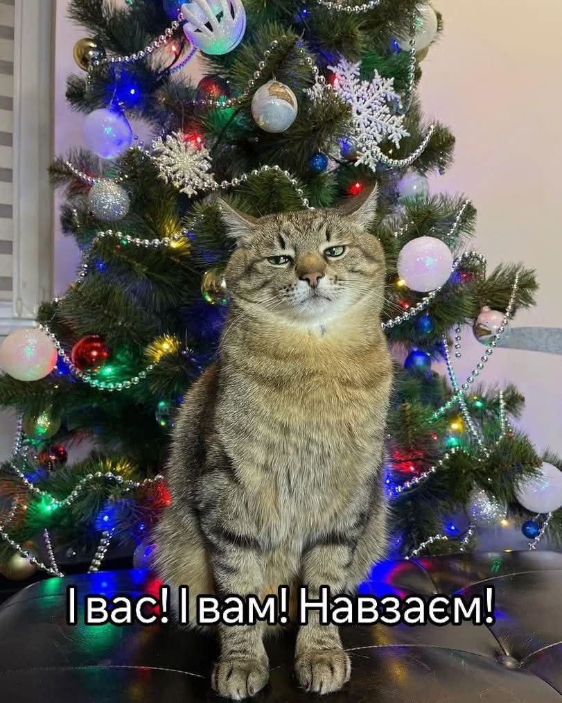 Мемы о начале 2025 года, на который мы возлагаем много надежд - фото 673319