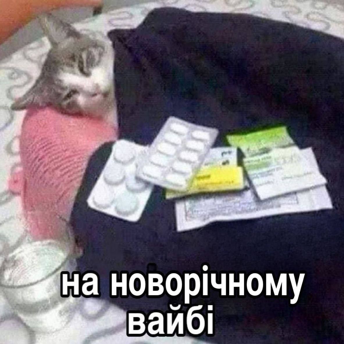 Мемы о начале 2025 года, на который мы возлагаем много надежд - фото 673328