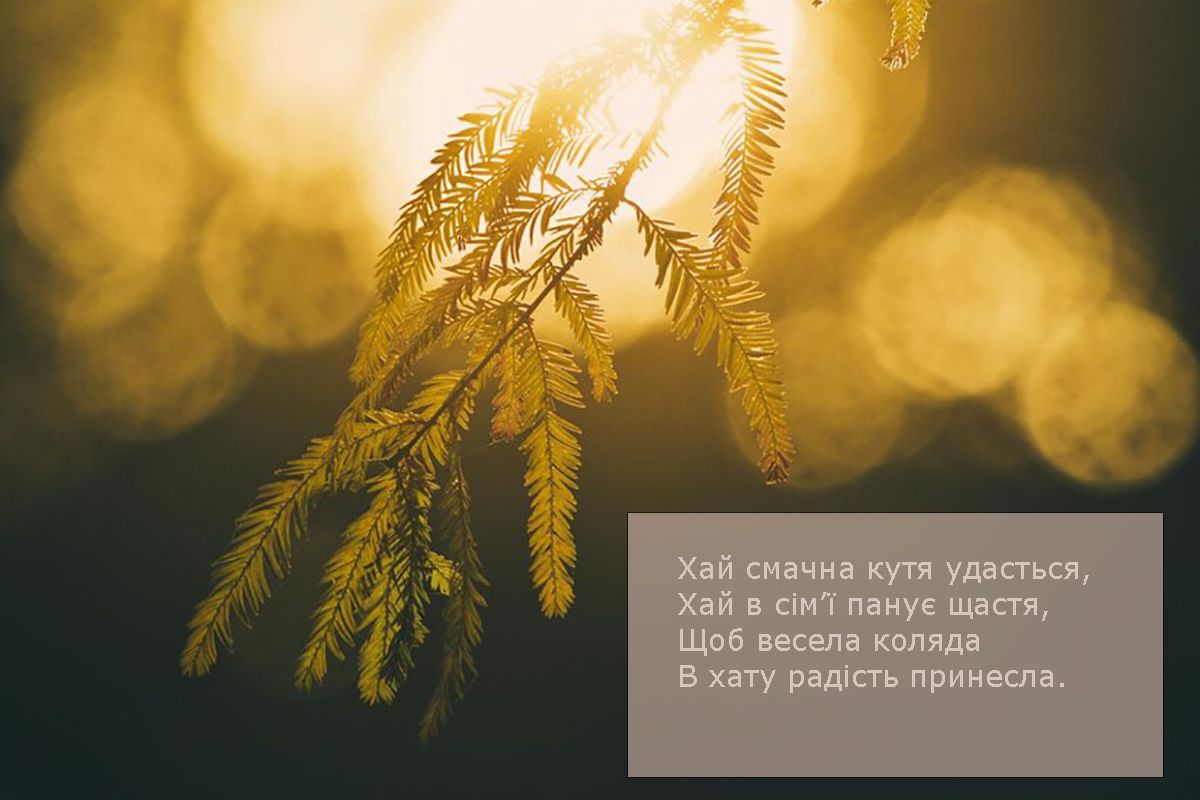 Искренние поздравления со Вторым Сочельником 2025 - стихи и открытки на украинском, которые коснутся сердца каждого - 673968 Искренние поздравления со Вторым Сочельником 2025 - стихи и открытки на украинском, которые коснутся сердца каждого - фото 673968
