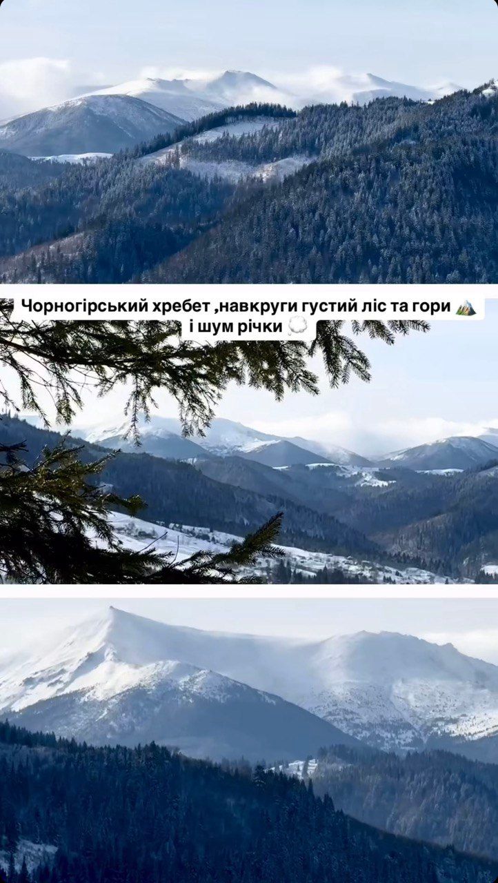 Блогерка з України придбала свою землю в Карпатах для унікального комплексу - фото 674647