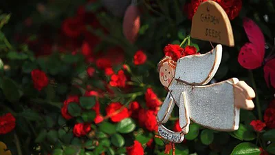 Поздравления с Днем ангела Ивана 2025, которые согреют сердце и наполнят душу теплом