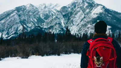 Наївні польські туристи поклалися на штучний інтелект - і заблукали в горах