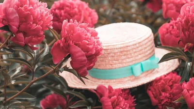 Бриллианты, свобода и Чаплин: невероятные тайны наших любимых шляп