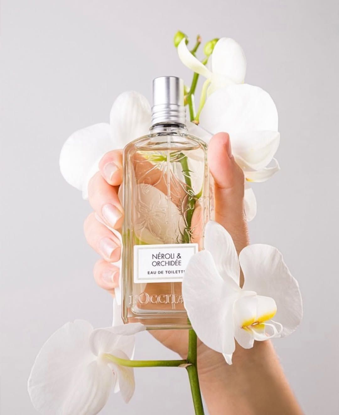 Три парфюма, с которыми ты гарантированно будешь собирать комплименты - фото 677479