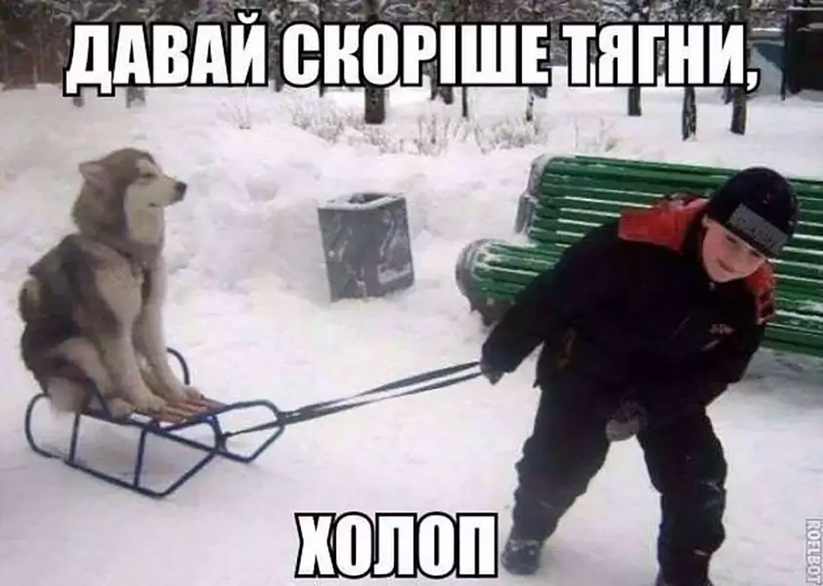 Мемы про снег, которые поднимут настроение пока ты ждешь маршрутку в мороз - 677627 Мемы про снег, которые поднимут настроение пока ты ждешь маршрутку в мороз - фото 677627