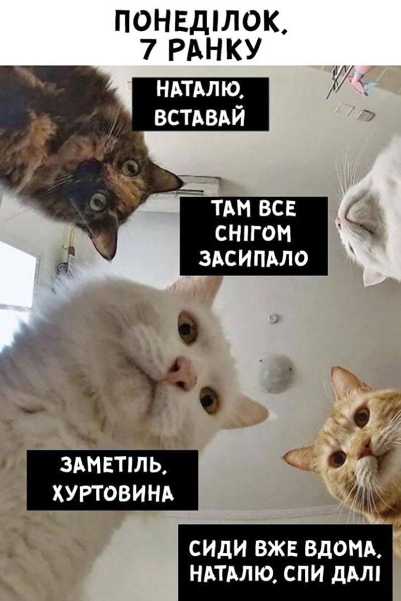 Мемы про снег, которые поднимут настроение пока ты ждешь маршрутку в мороз - 677628 Мемы про снег, которые поднимут настроение пока ты ждешь маршрутку в мороз - фото 677628