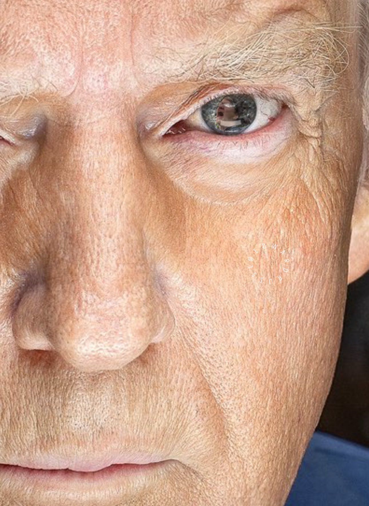 Портрет Трампа к инаугурации является копией его фото из тюрьмы, и вот мемы об этом - фото 677937