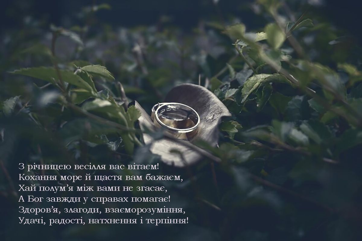 з річницею весілля картинки українською - 680814 з річницею весілля картинки українською - фото 680814