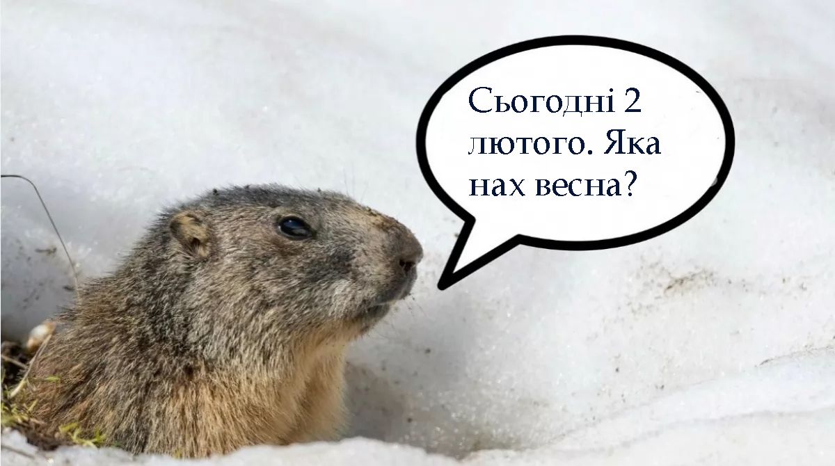 Этот пушистый синоптик знает все - подборка мемов про сурка - 682637 Этот пушистый синоптик знает все - подборка мемов про сурка - фото 682637