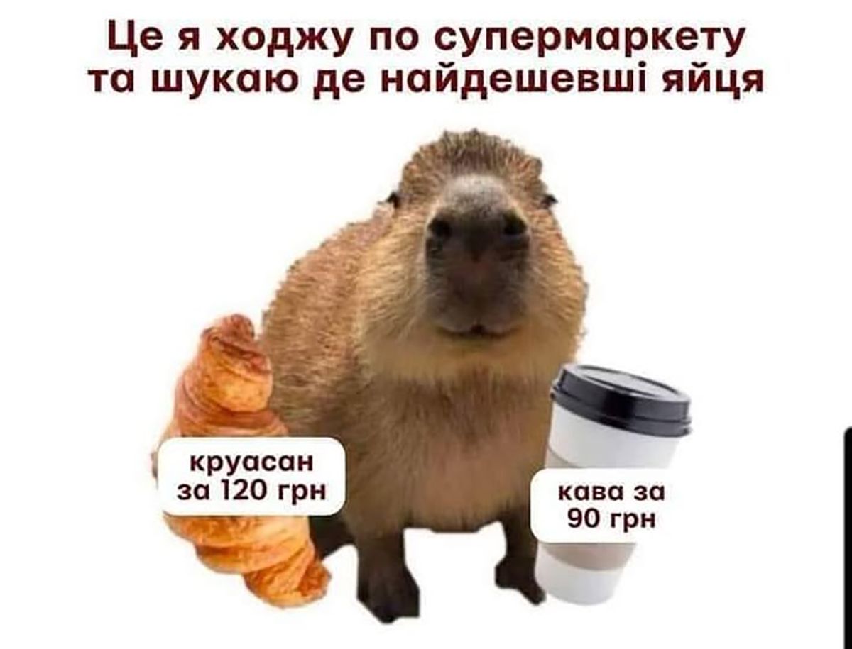 Этот пушистый синоптик знает все - подборка мемов про сурка - 682639 Этот пушистый синоптик знает все - подборка мемов про сурка - фото 682639